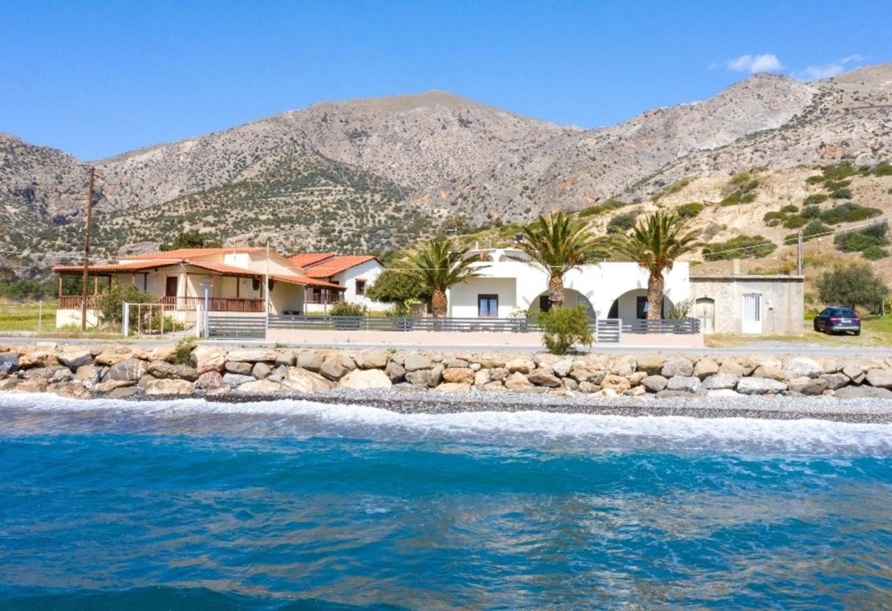 Atalanti Seaside Junior דירה *